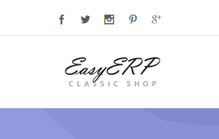 电子商务商城网站